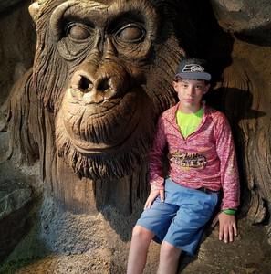 Meet your Posher, Kale